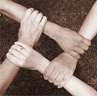 Lavoro di squadra